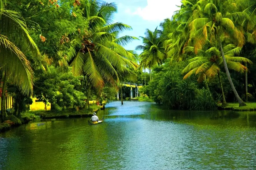 Standard Kerala Package 4 Star 